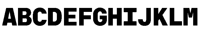 RT Dromo Mono Black Font UPPERCASE
