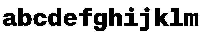 RT Dromo Mono Black FONT