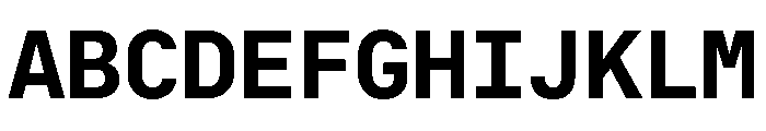 RT Dromo Mono Bold Font UPPERCASE