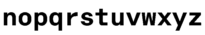 RT Dromo Mono Bold Font LOWERCASE