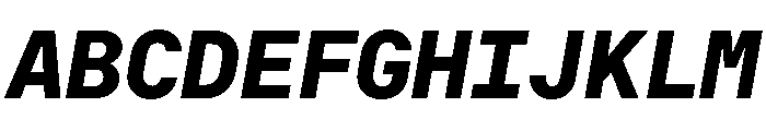 RT Dromo Mono Extrabold Italic Font UPPERCASE