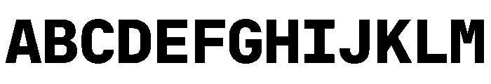RT Dromo Mono Extrabold Font UPPERCASE
