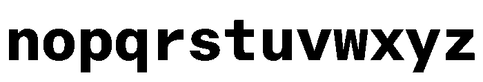 RT Dromo Mono Extrabold Font LOWERCASE