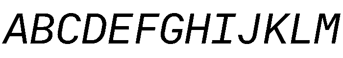RT Dromo Mono Regular Italic Font UPPERCASE