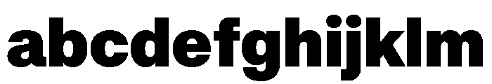 RT Dromo Super FONT