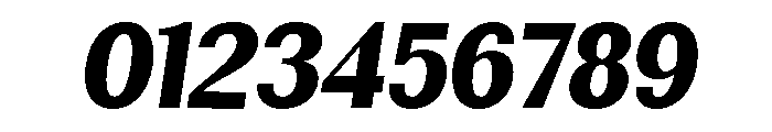 Rundale-BlackSemiCondIta Font OTHER CHARS