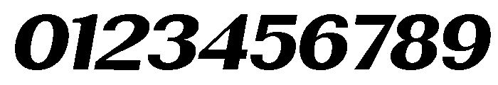 Rundale-ExtBdExpIta Font OTHER CHARS