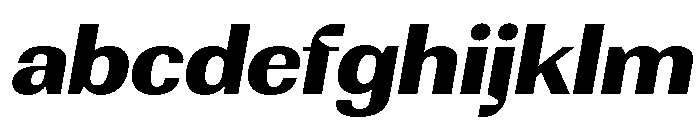 Rundale-ExtBdExpIta FONT