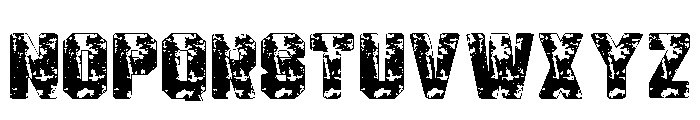 Rust Empire Regular Font UPPERCASE
