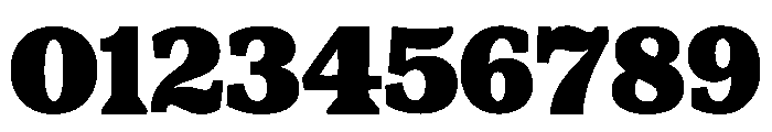 Rustic Frontier Regular Font OTHER CHARS