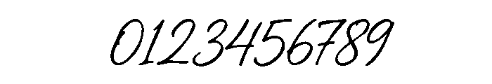 Rustic Melody Script Font OTHER CHARS