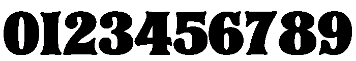 Rustic Outlaw Regular Font OTHER CHARS