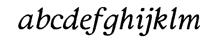 Rustic Portrait Bold Italic FONT