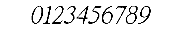 Rustic Portrait Italic Font OTHER CHARS