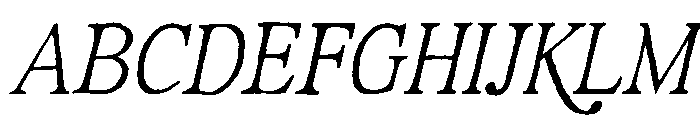 Rustic Portrait Italic Font UPPERCASE