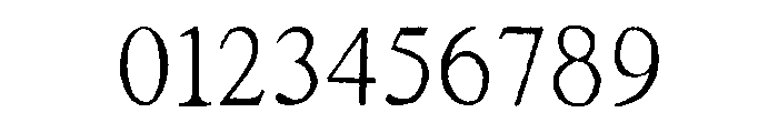 Rustic Portrait Regular Font OTHER CHARS
