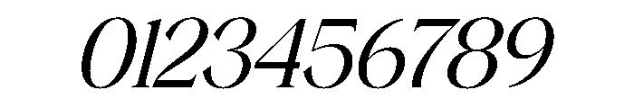 Rustic Royale Italic Font OTHER CHARS