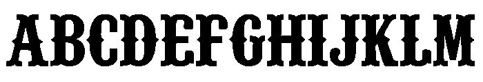 Rustic Western FONT