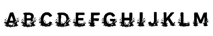 Ruth Regular FONT