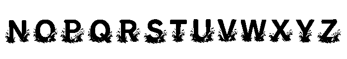 Ruth Regular Font LOWERCASE