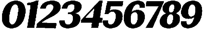 Rundale BlackItalic otf (900) Font OTHER CHARS