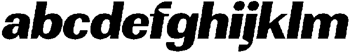 Rundale BlackSemExpIta otf (900) FONT