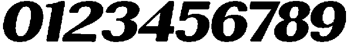 RundaleRound BlackExpIta otf (900) Font OTHER CHARS