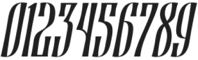 Runholdy Italic otf (400) Font OTHER CHARS