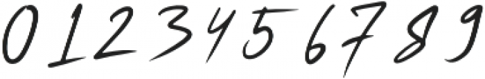 Rushink Signature otf (400) Font OTHER CHARS