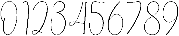 Rustic Wedding Regular otf (400) Font OTHER CHARS