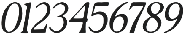 RustiqueSerif-Italic otf (400) Font OTHER CHARS