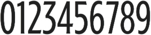 Ruston Basic Regular Condensed otf (400) Font OTHER CHARS