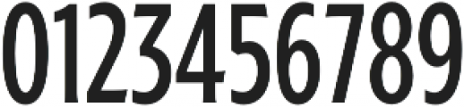 Ruston Basic SemiBold Condensed otf (600) Font OTHER CHARS