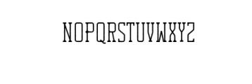 RusticaSlab-Rough.ttf Font LOWERCASE