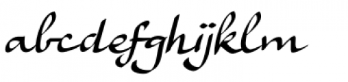 Ruhaniyat Regular Font LOWERCASE