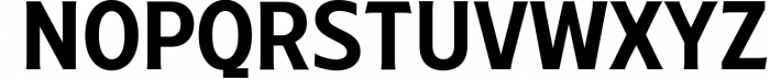 Ruston Font Family 16 Font UPPERCASE