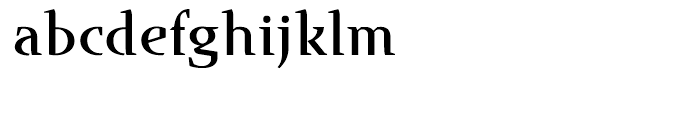 Runa Serif Medium Font LOWERCASE