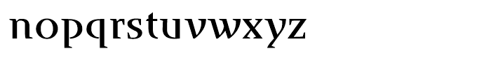 Runa Serif Medium Font LOWERCASE