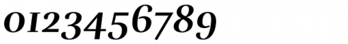 Rufina Bold Italic Font OTHER CHARS