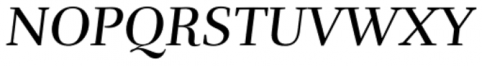 Rufina Italic STD Font UPPERCASE