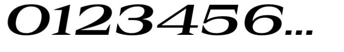 Rules Serif Exp Bold Italic Font OTHER CHARS