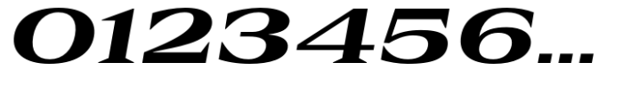 Rules Serif Exp Extra Bold Italic Font OTHER CHARS