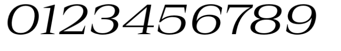 Rules Serif Ext Regular Italic Font OTHER CHARS