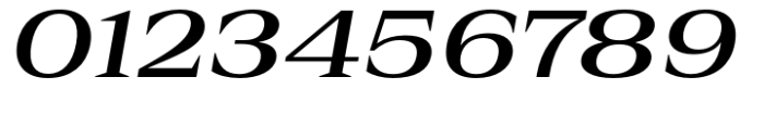 Rules Serif Ext Semibold Italic Font OTHER CHARS