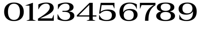 Rules Serif Ext Semibold Font OTHER CHARS