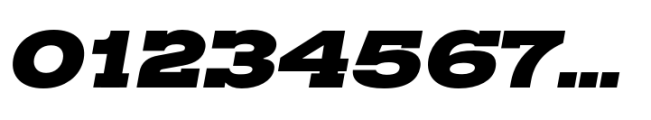 Rules Slab Expanded Black Italic Font OTHER CHARS