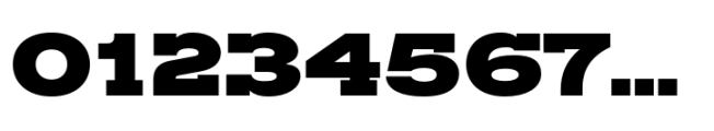 Rules Slab Expanded Black Font OTHER CHARS
