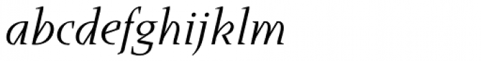 Runa Serif Pro Italic Font LOWERCASE