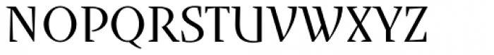 Runa Serif Pro Light Font UPPERCASE