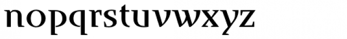 Runa Serif Pro Medium Font LOWERCASE